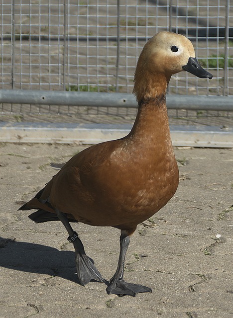 们大跌眼镜
