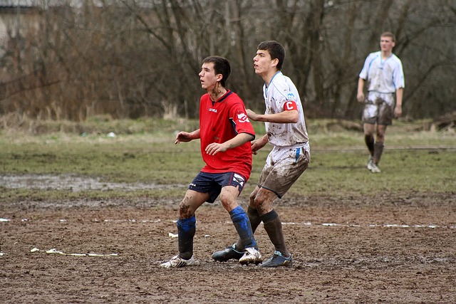 为类似索默 为类似索默