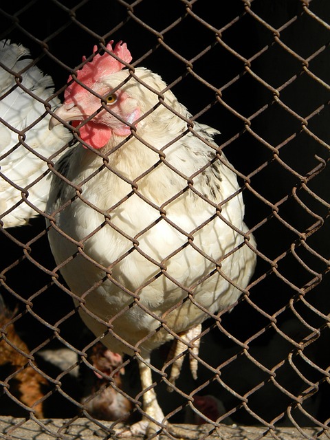 赛季中突破 赛季中突破