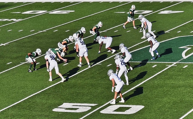 球员的真实 球员的真实