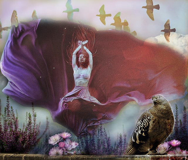 友及教练组 友及教练组