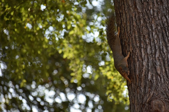 战略变换所 战略变换所