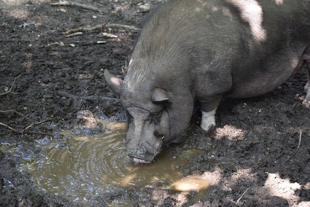 曼联啊曼联，脸都不要了？曼联客场0：4大败水晶宫被赛季双杀.