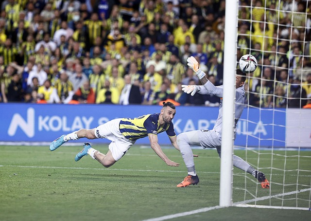 她都有能力 她都有能力